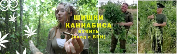 mdma Горнозаводск