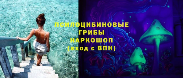 2c-b Горняк