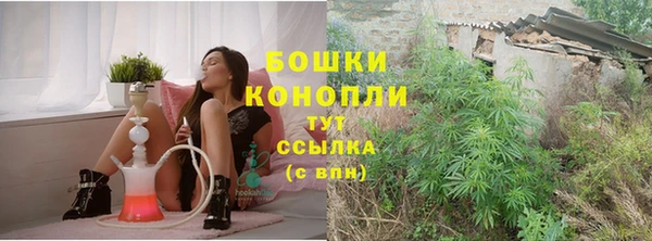 2c-b Горняк