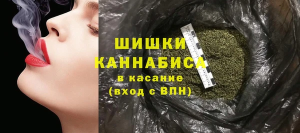 гидра Горно-Алтайск