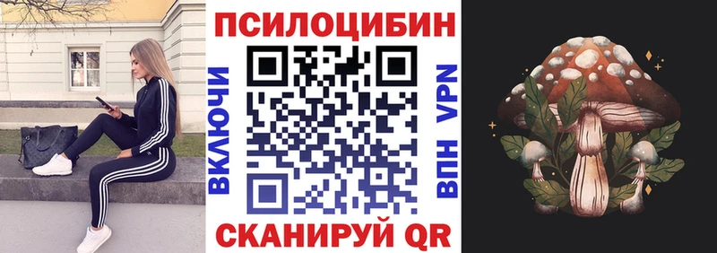 Псилоцибиновые грибы GOLDEN TEACHER  Егорьевск 