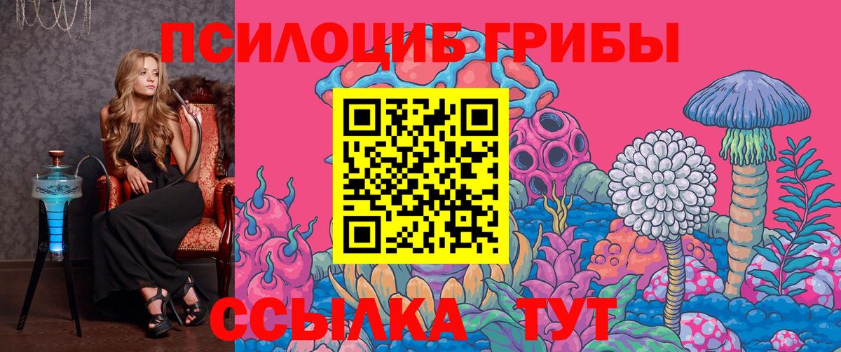 Псилоцибиновые грибы прущие грибы  Егорьевск 