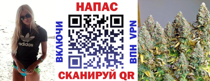 omg рабочий сайт  Егорьевск  Канабис сатива 